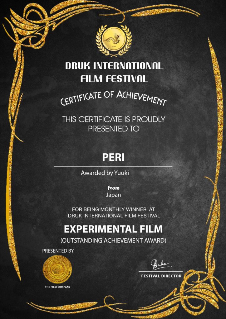 druk international film festival